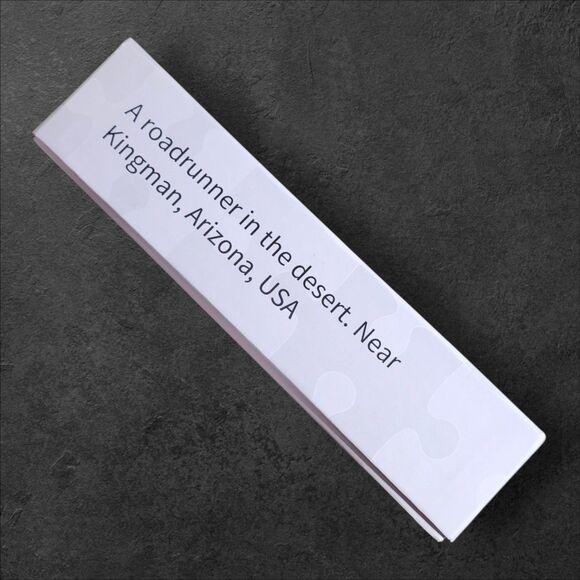 Noah 1000 Piece Puzzle “Roadrunner in the Desert” Arizona Wildlife Complete Bird - Picture 5 of 5